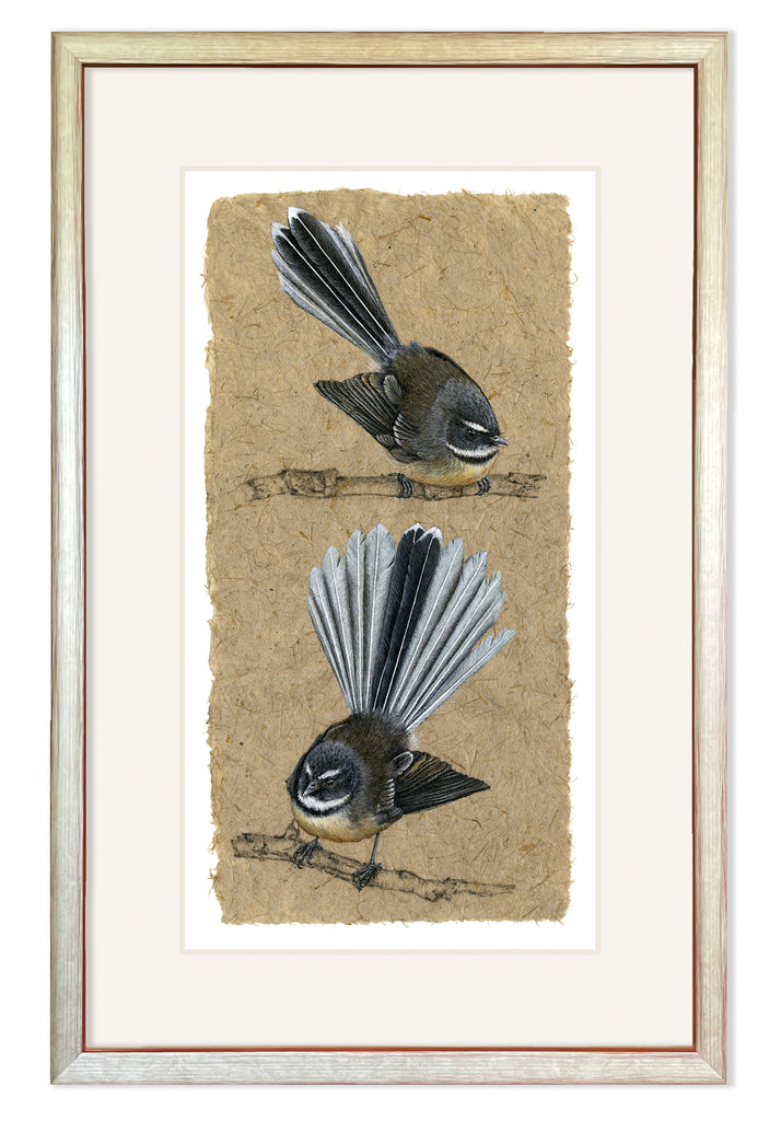 Two Fantails VI
