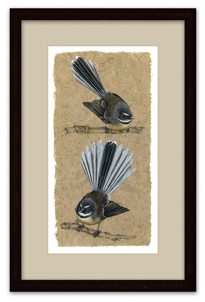 Two Fantails VI