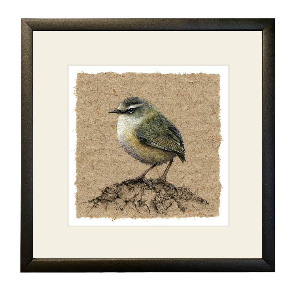 Nightfire frame - a dark brown with a very soft spray of gold. Paired with a mist mount