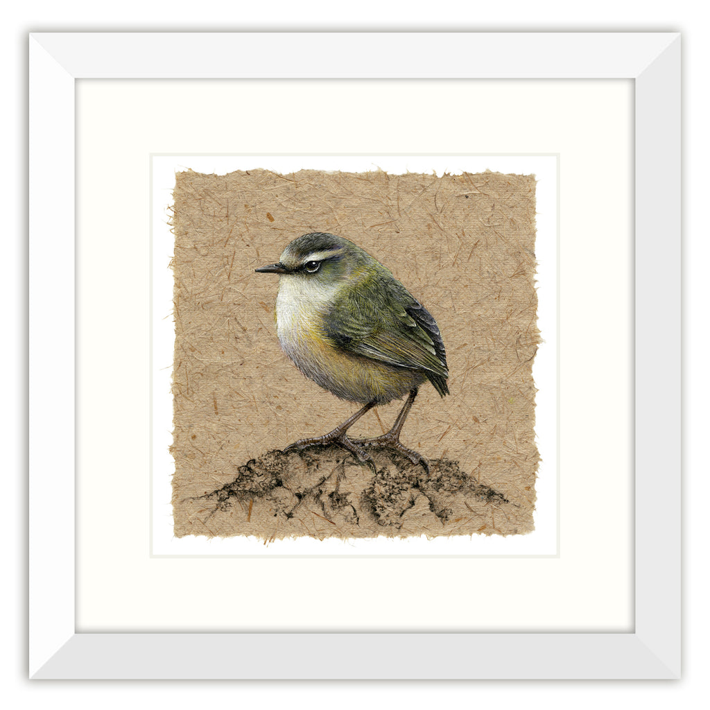 White frame with soft white mount 