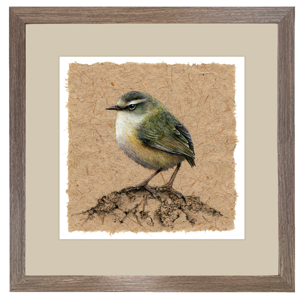 Grove chocolate a matt wooden frame with Antique tan mount.