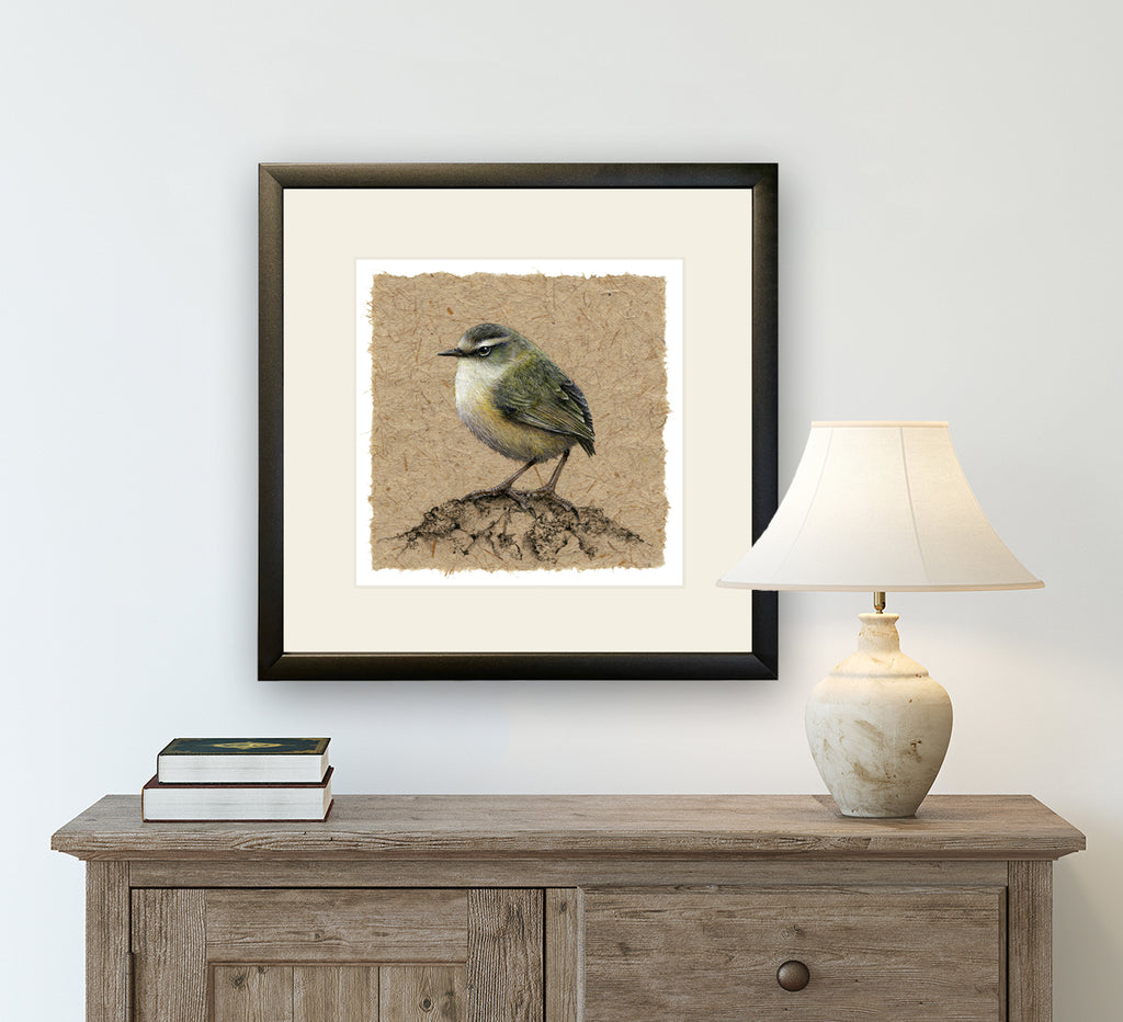 A classic and timeless combo, the gentle curve of the frame and the light gold top coat give this frame a quality appearance..