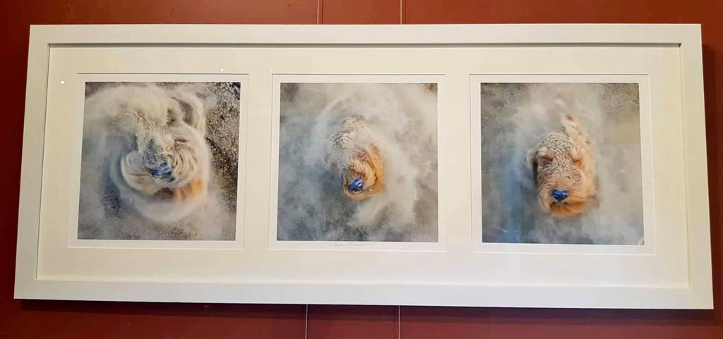 Teazle Tornado Triptych