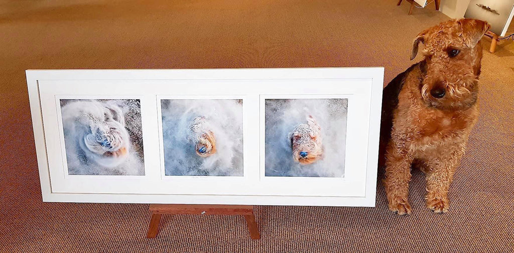 Teazle Tornado Triptych