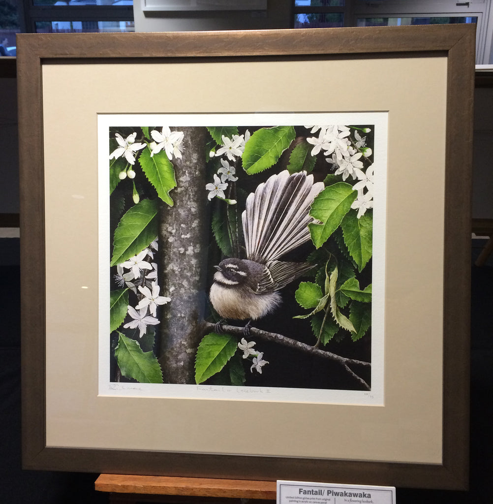 Fantail in Lacebark II