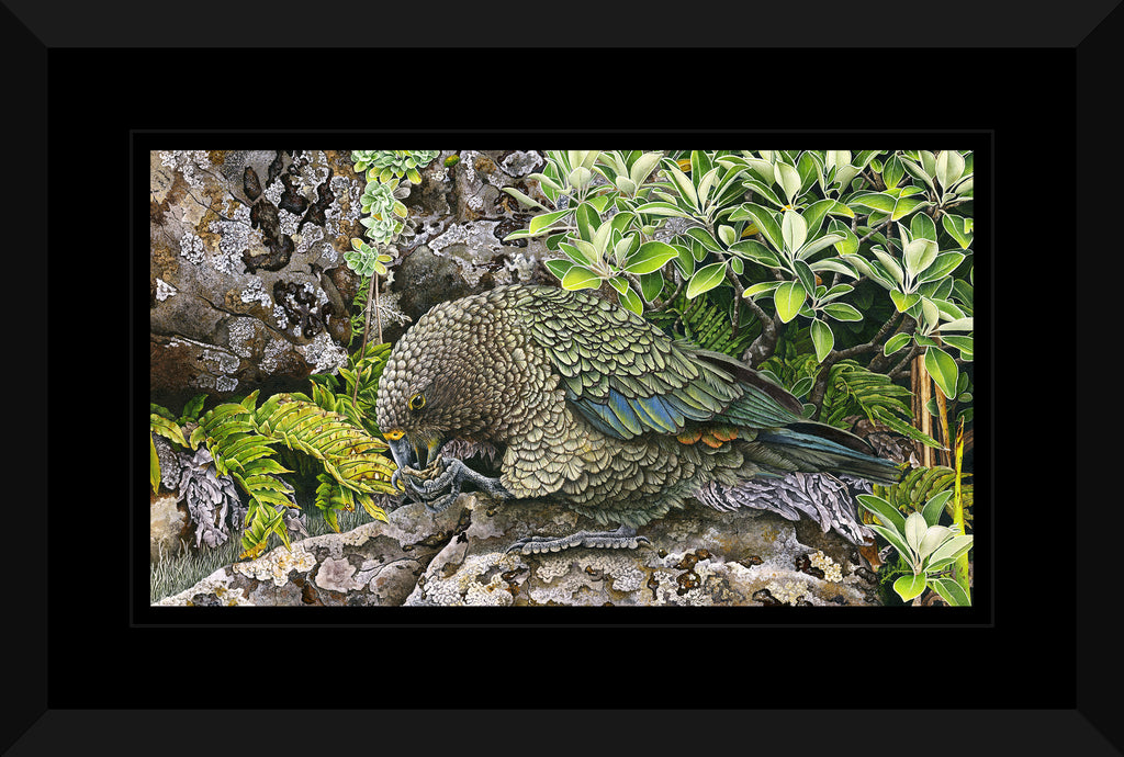Kea