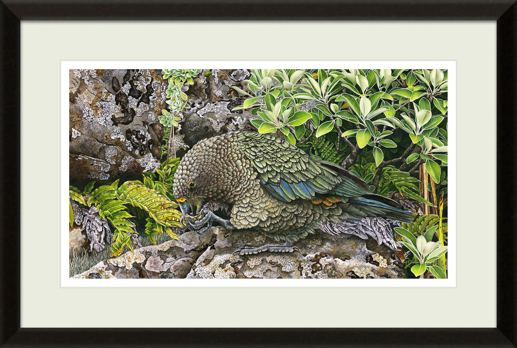Kea