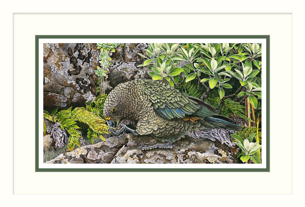 Kea