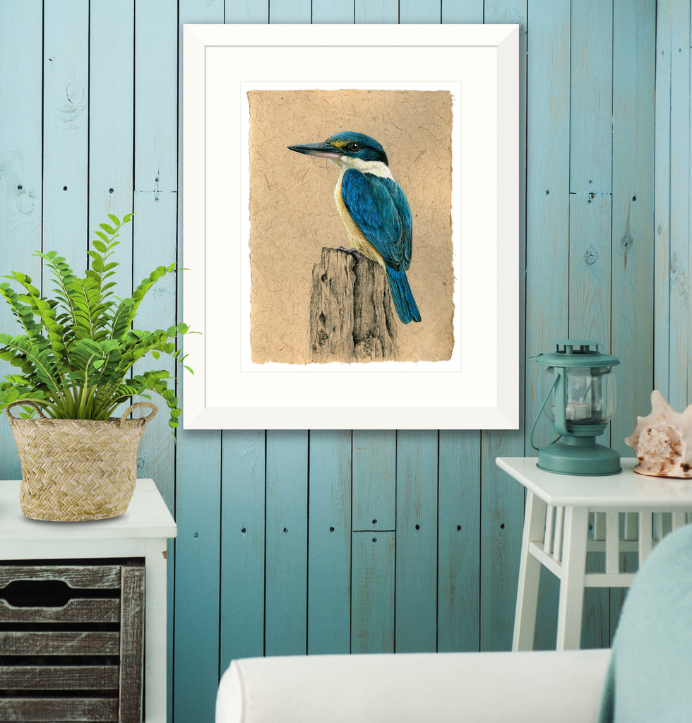 NZ Sacred Kingfisher - Kotare