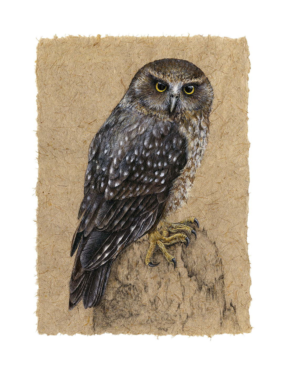 More Pork Ruru Wildlife Paintings on Harakeke Paper - Endemic Gallery