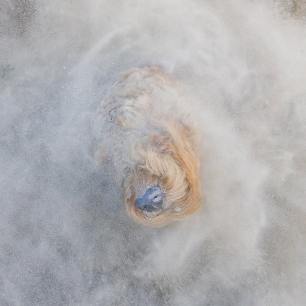 Teazle Tornado Triptych