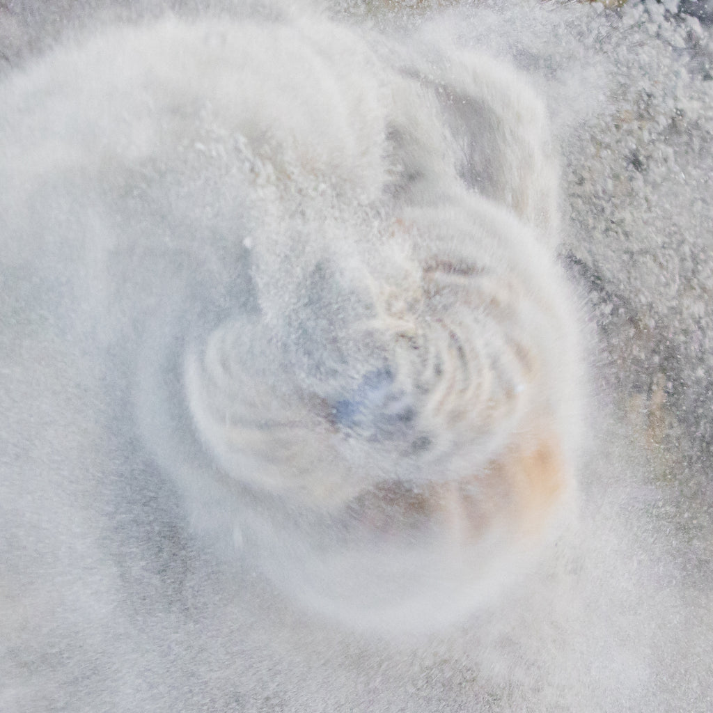 Teazle Tornado Triptych