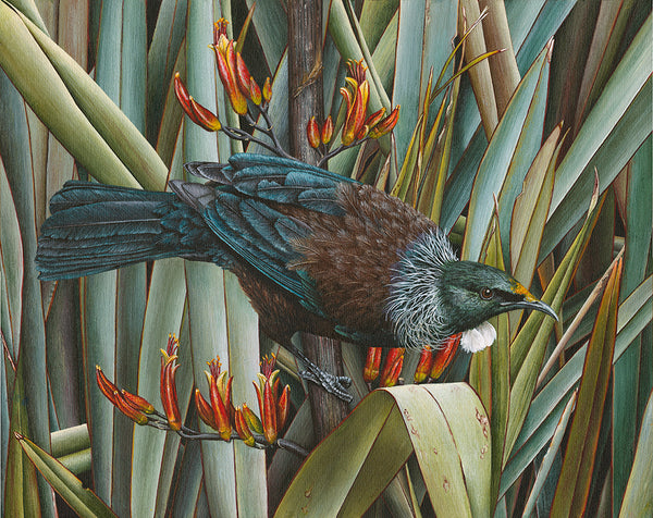 Tui in Flax II