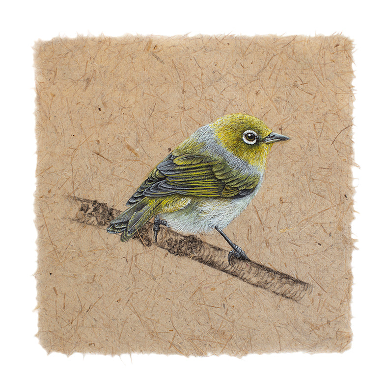 Waxeye III
