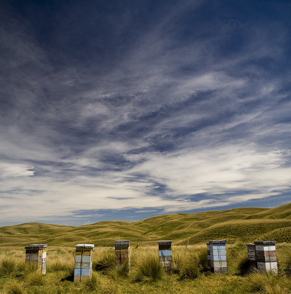 Beehives
