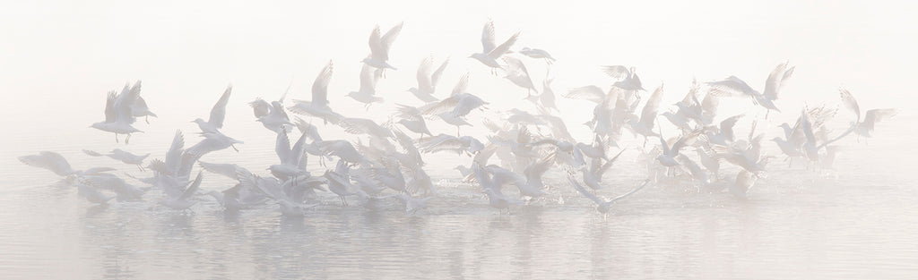 Shattering the Silence