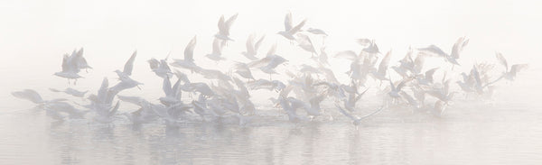 Shattering the Silence