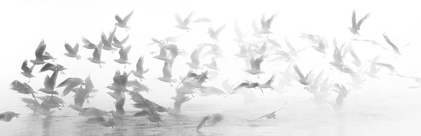 Shattering the Silence II