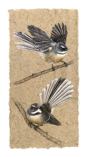 Two Fantails V