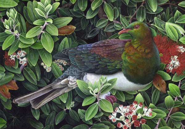 Kereru