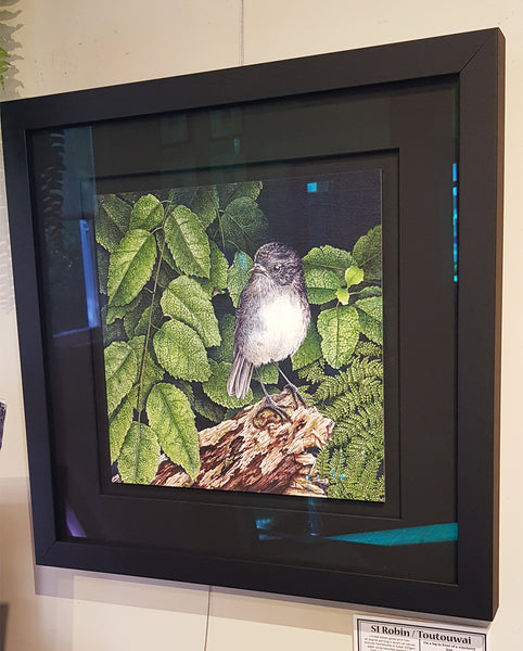 South Island Robin Framed in Black