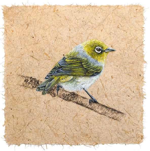 Waxeye III on Harakeke paper